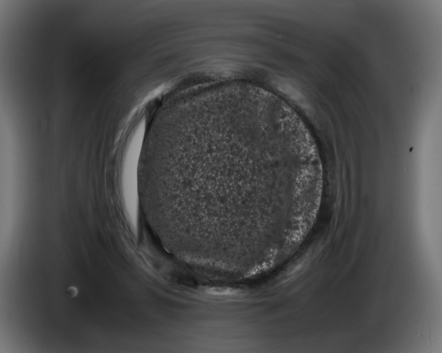 X0000086030399200704131917