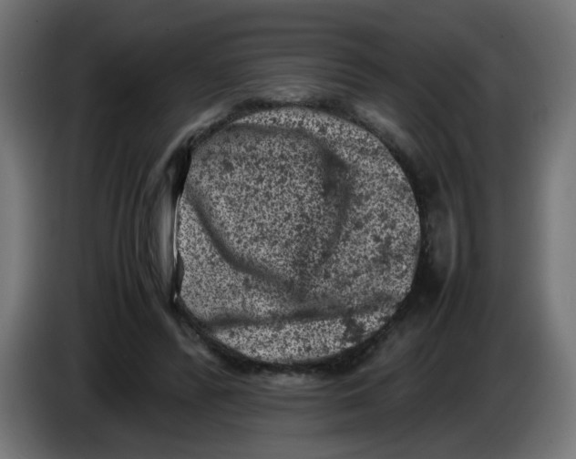 X0000086030400200704131917