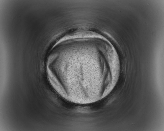 X0000086030403200704131917