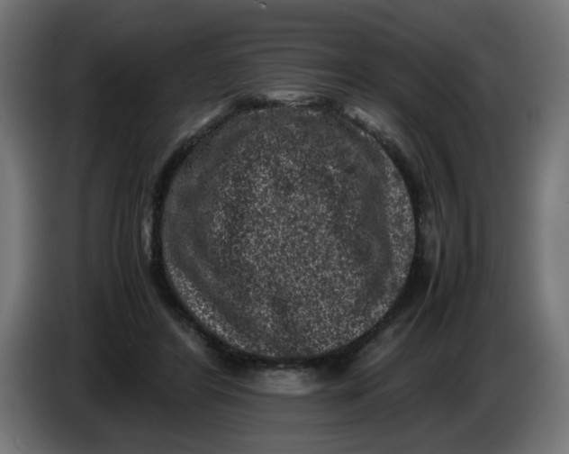 X0000086030404200704131917