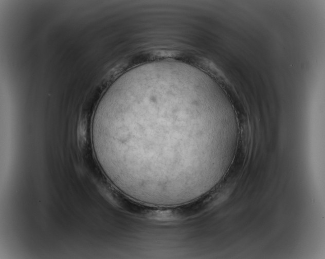 X0000086030406200704131917