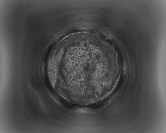 X0000086030408200704131917