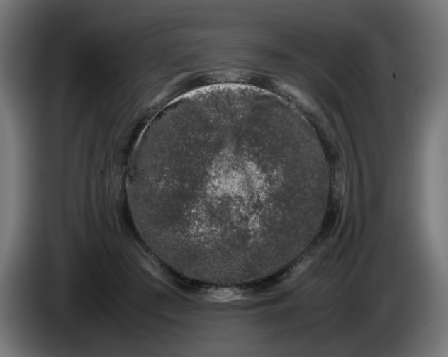 X0000086030409200704131917