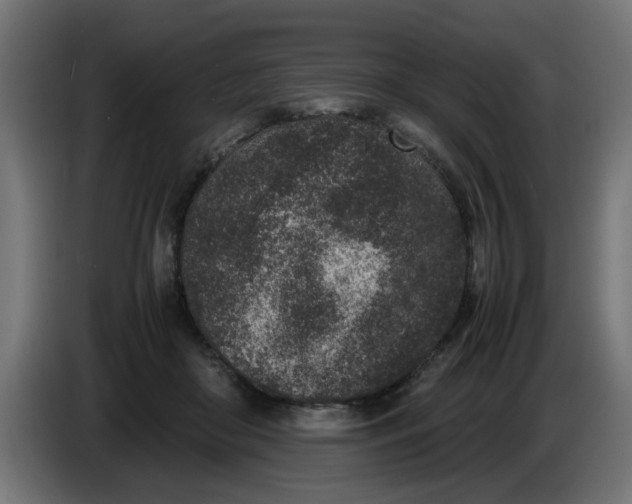 X0000086030410200704131917