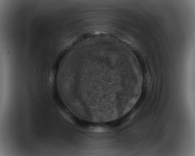 X0000086030412200704131917