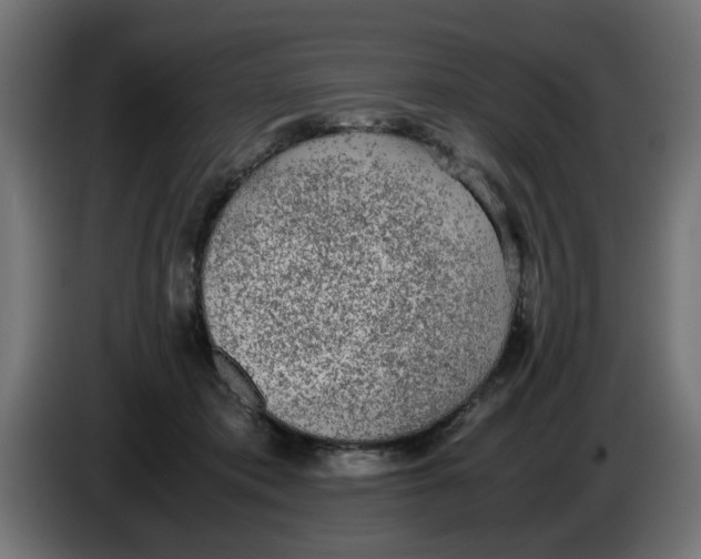 X0000086030413200704131917