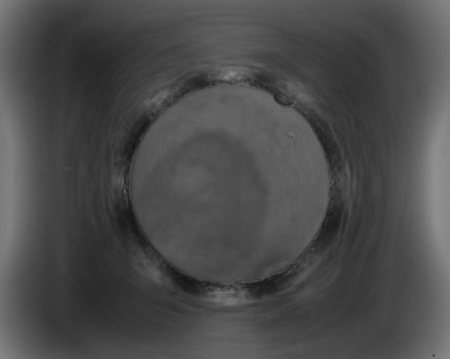 X0000086030415200704131917