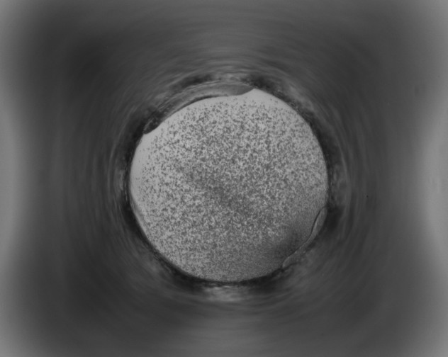 X0000086030417200704131917