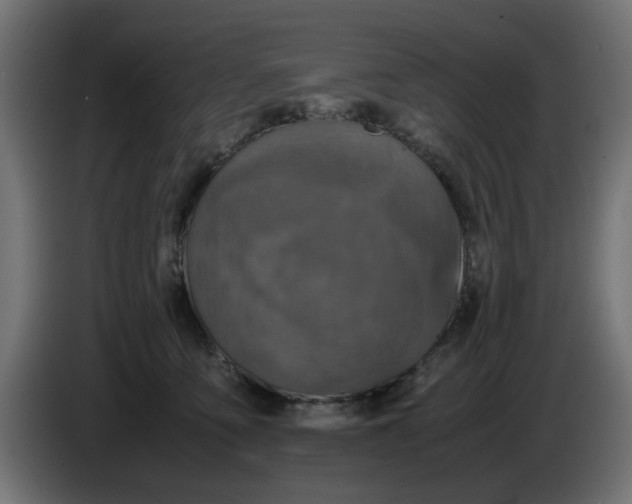 X0000086030419200704131917