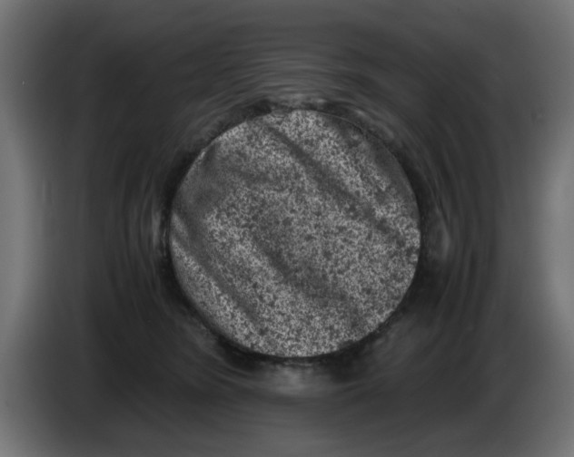 X0000086030420200704131917