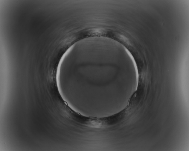 X0000086030423200704131917