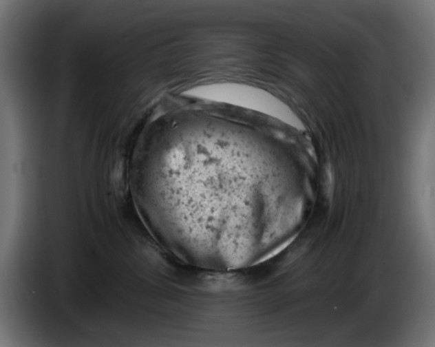 X0000086030428200704131917