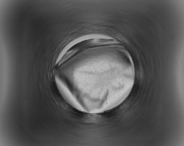 X0000086030429200704131916