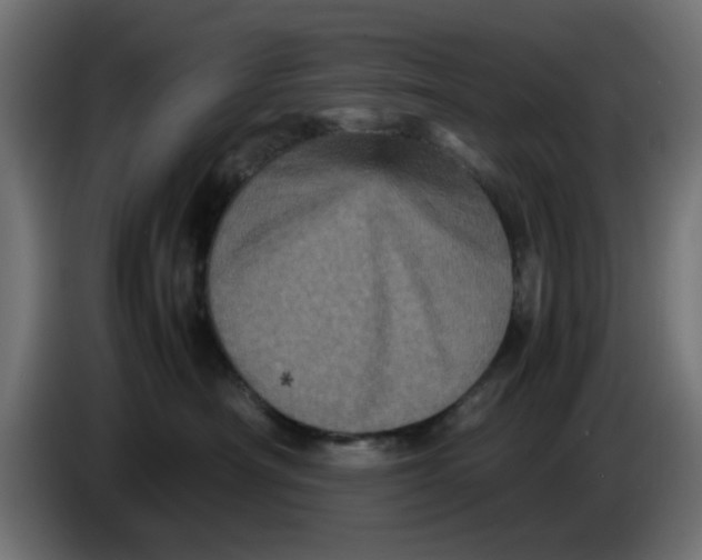 X0000086030430200704131916