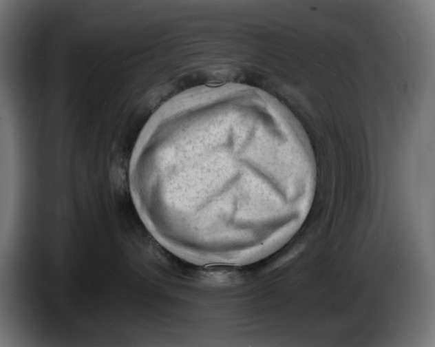 X0000086030432200704131916