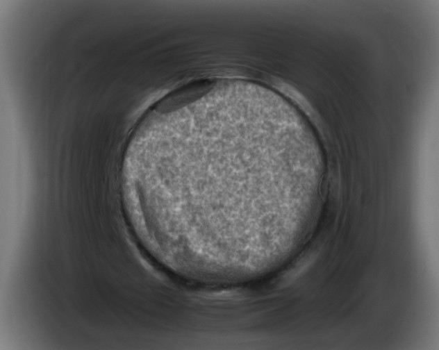 X0000086030433200704131916