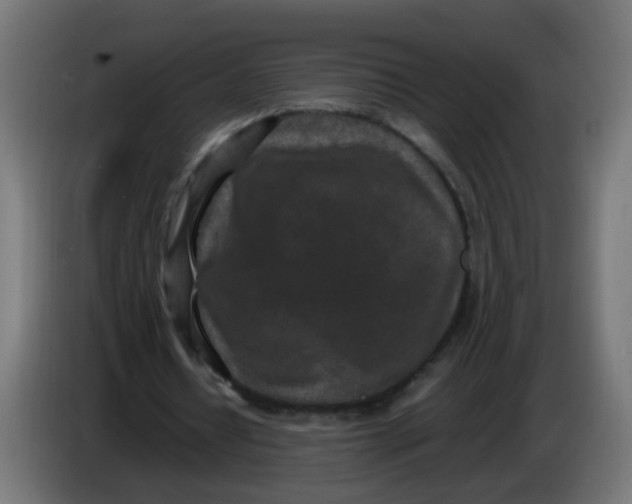 X0000086030434200704131916