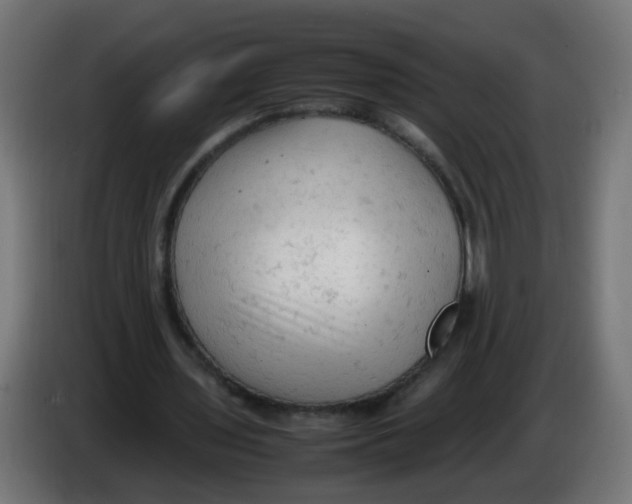 X0000086030435200704131916