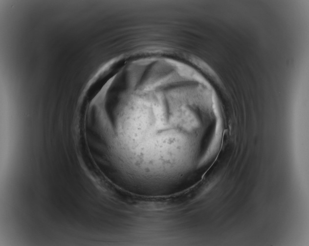 X0000086030436200704131916