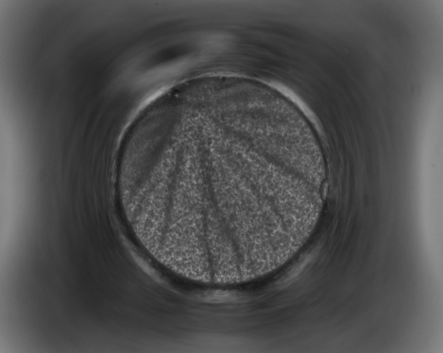 X0000086030437200704131916