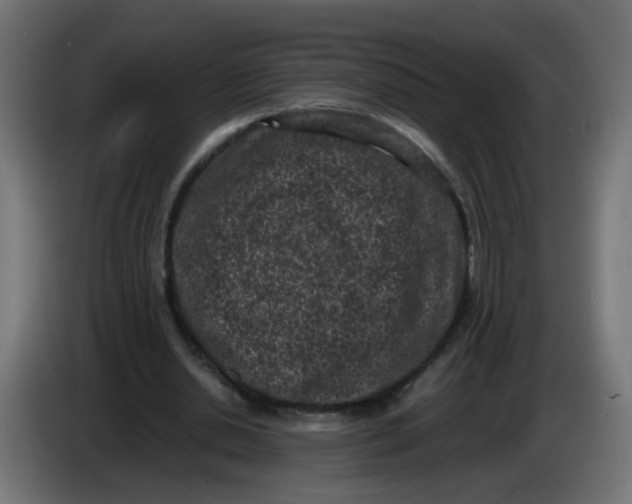 X0000086030438200704131916