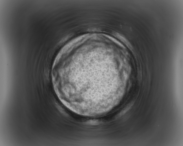 X0000086030441200704131916