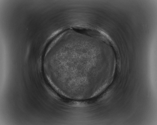 X0000086030442200704131916