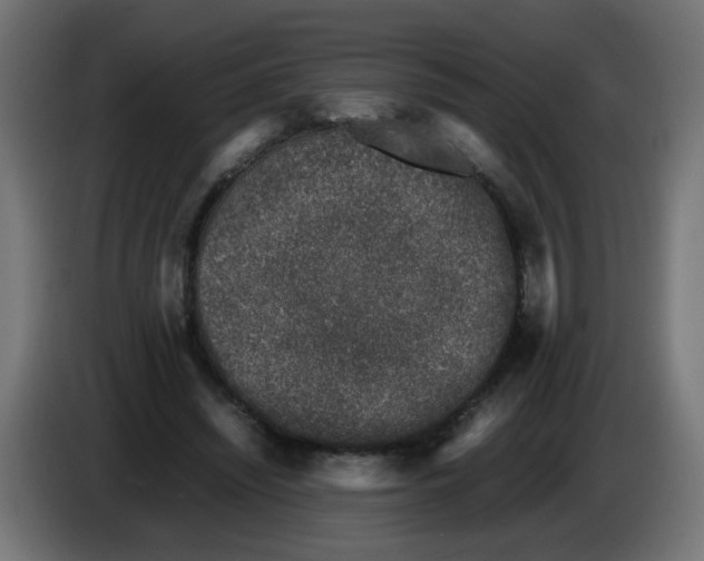 X0000086030444200704131916