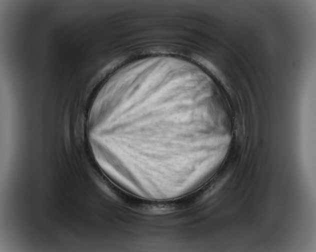 X0000086030445200704131916