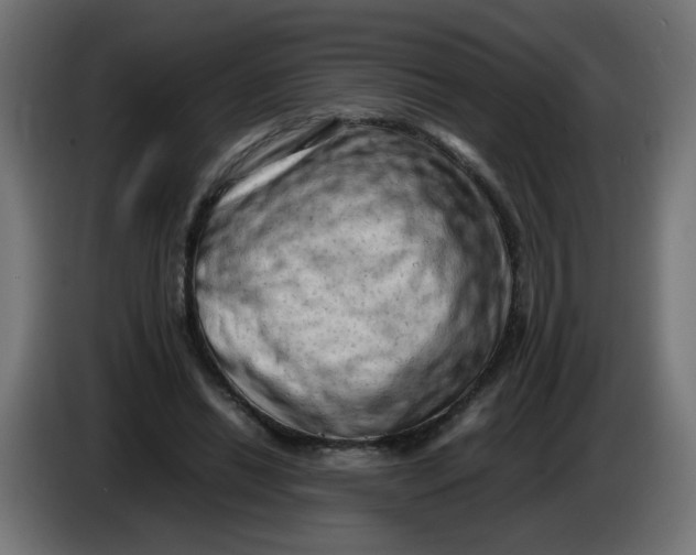 X0000086030446200704131916