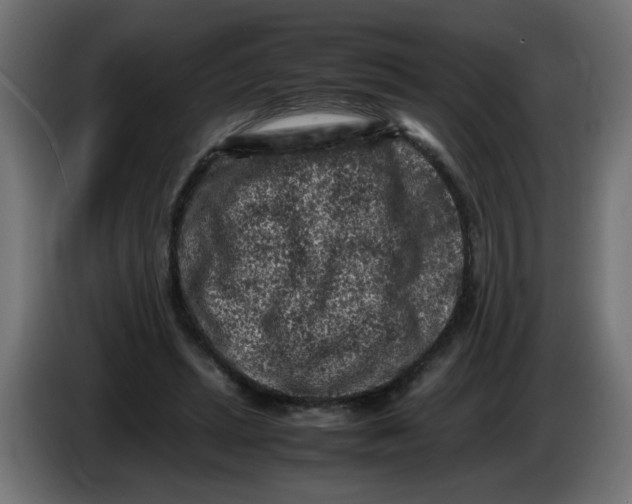 X0000086030447200704131916