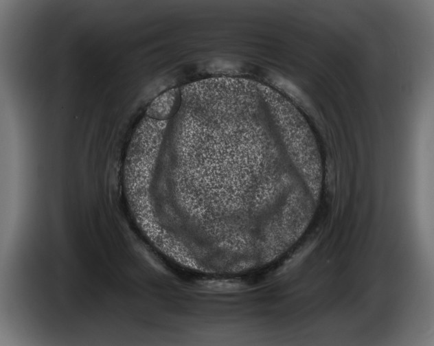 X0000086030449200704131916