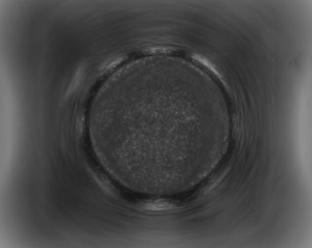 X0000086030451200704131916