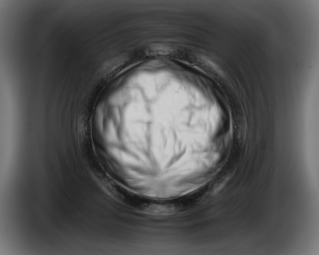 X0000086030455200704131916