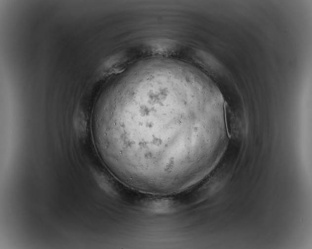 X0000086030456200704131916