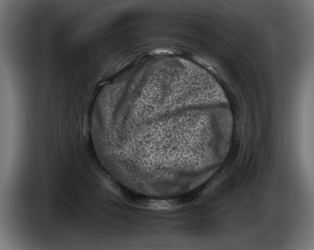 X0000086030457200704131916