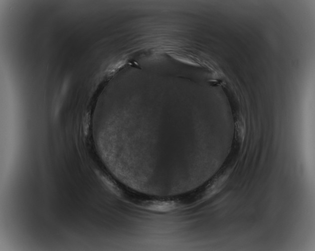 X0000086030458200704131916