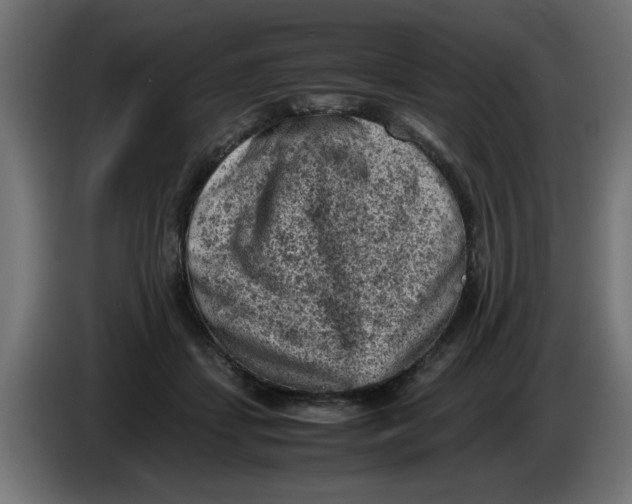 X0000086030459200704131916