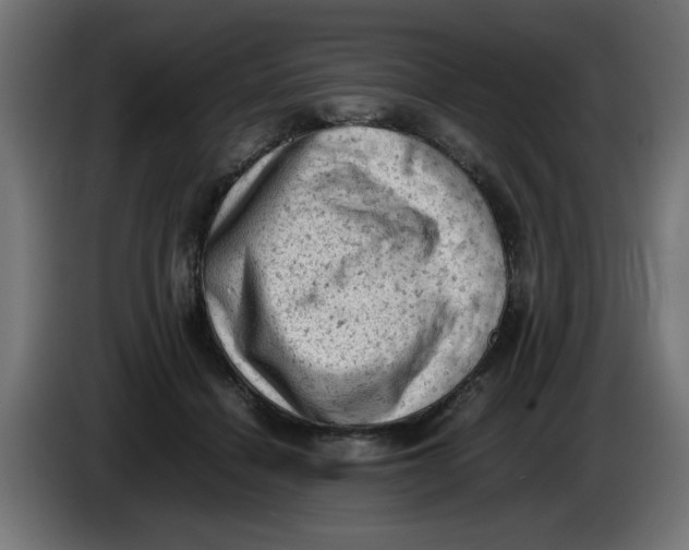 X0000086030460200704131916