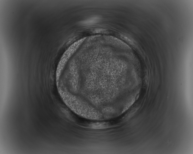 X0000086030461200704131916