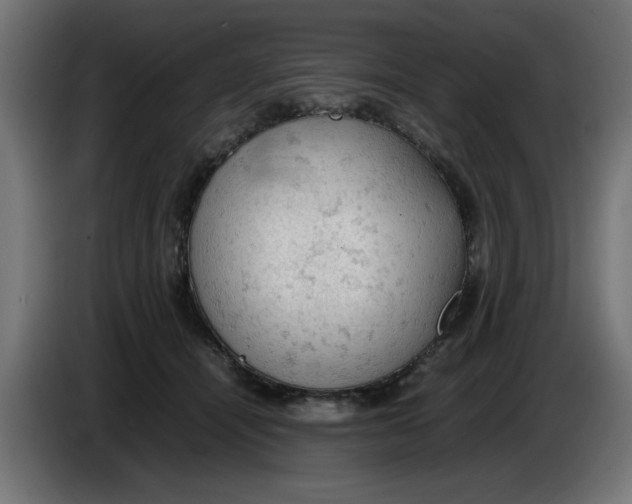 X0000086030464200704131916