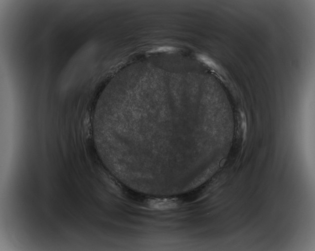 X0000086030465200704131916