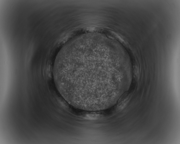 X0000086030470200704131916