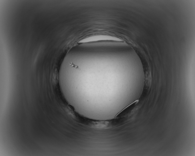 X0000086030474200704131916