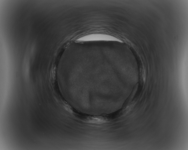 X0000086030475200704131916