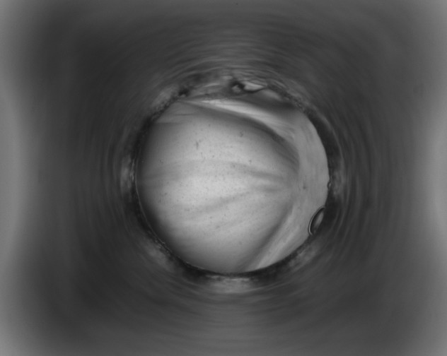 X0000086030476200704131916