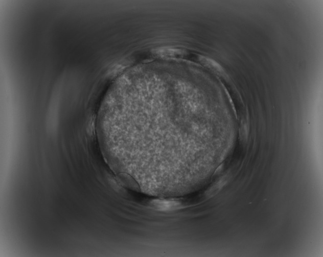 X0000086030477200704131916