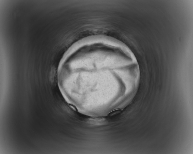 X0000086030480200704131916