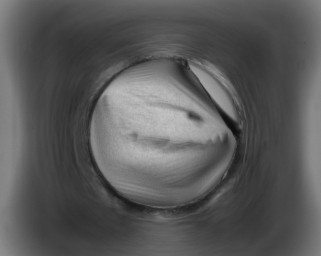 X0000086030481200704131916