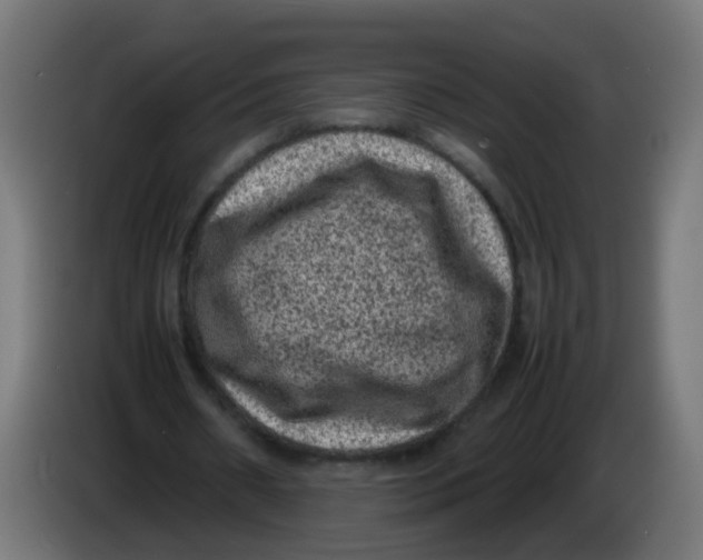 X0000086030482200704131916